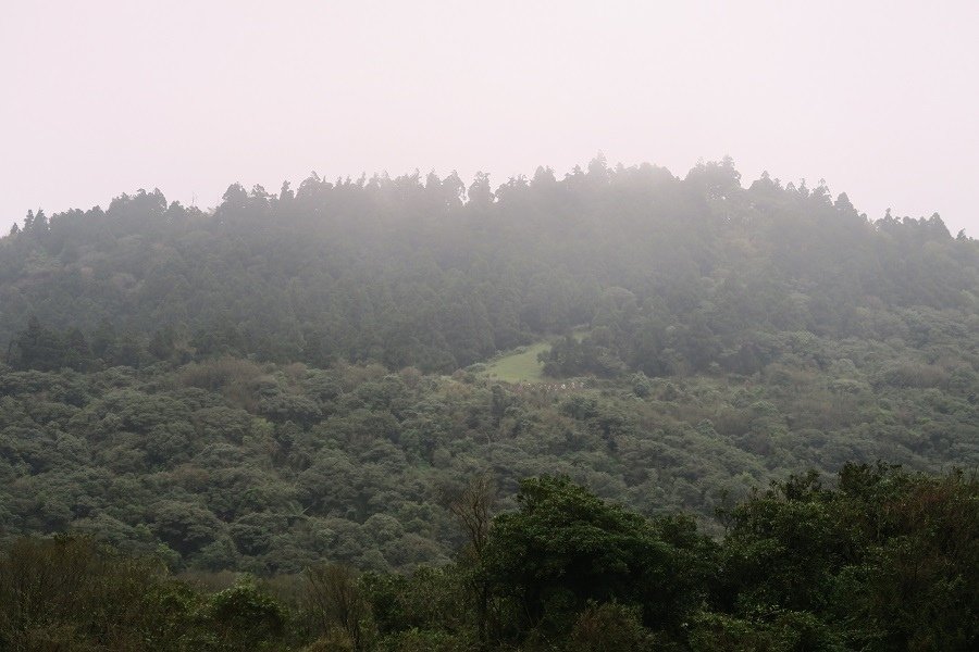 頂山石梯嶺步道