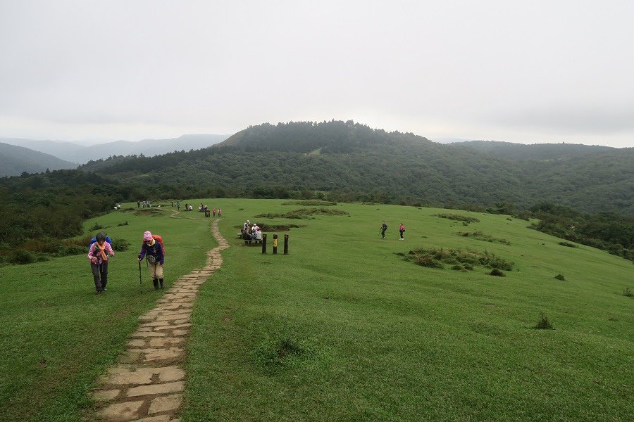 頂山石梯嶺步道