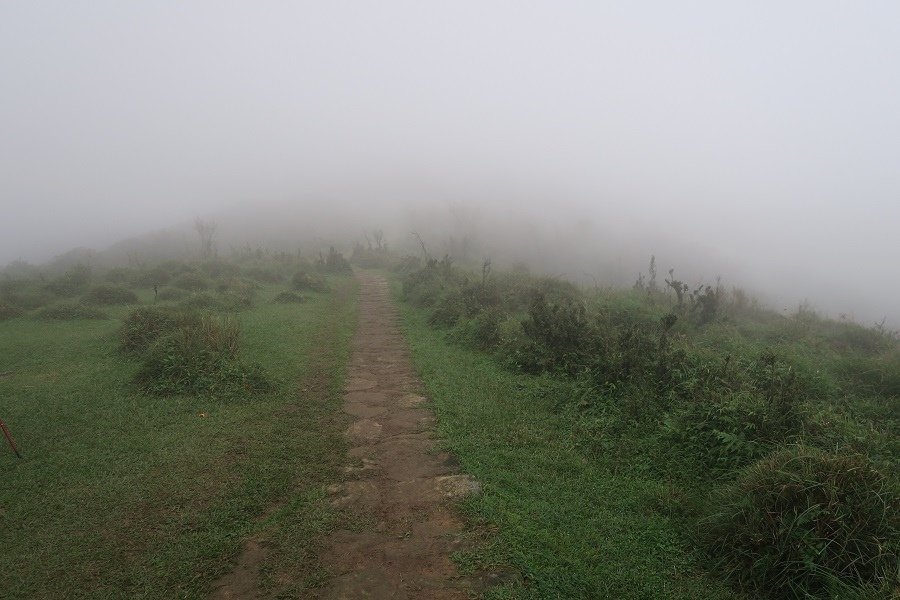 頂山石梯嶺步道