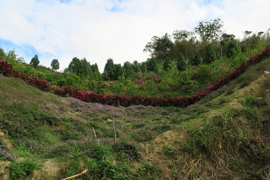 蘇維拉莊園