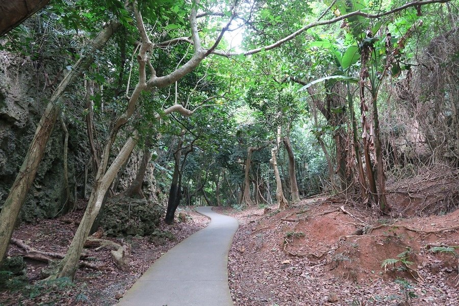 珊瑚礁步道