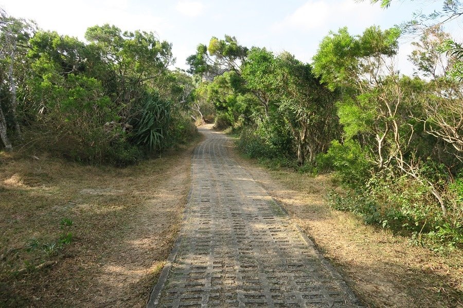 社頂自然公園