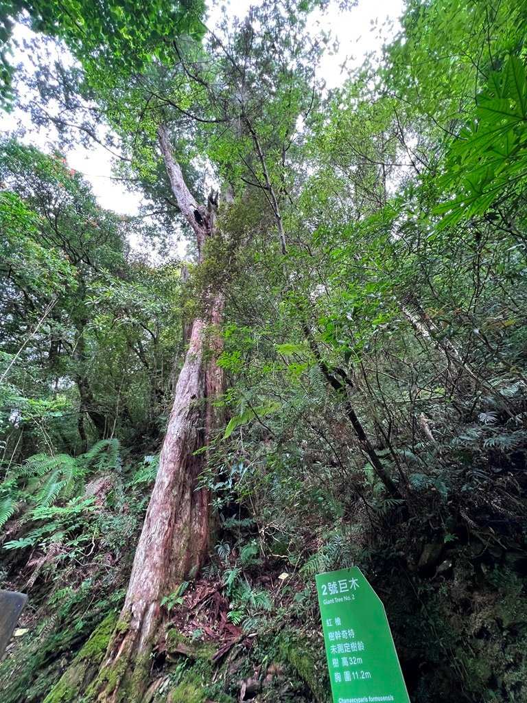 拉拉山國家森林遊樂區