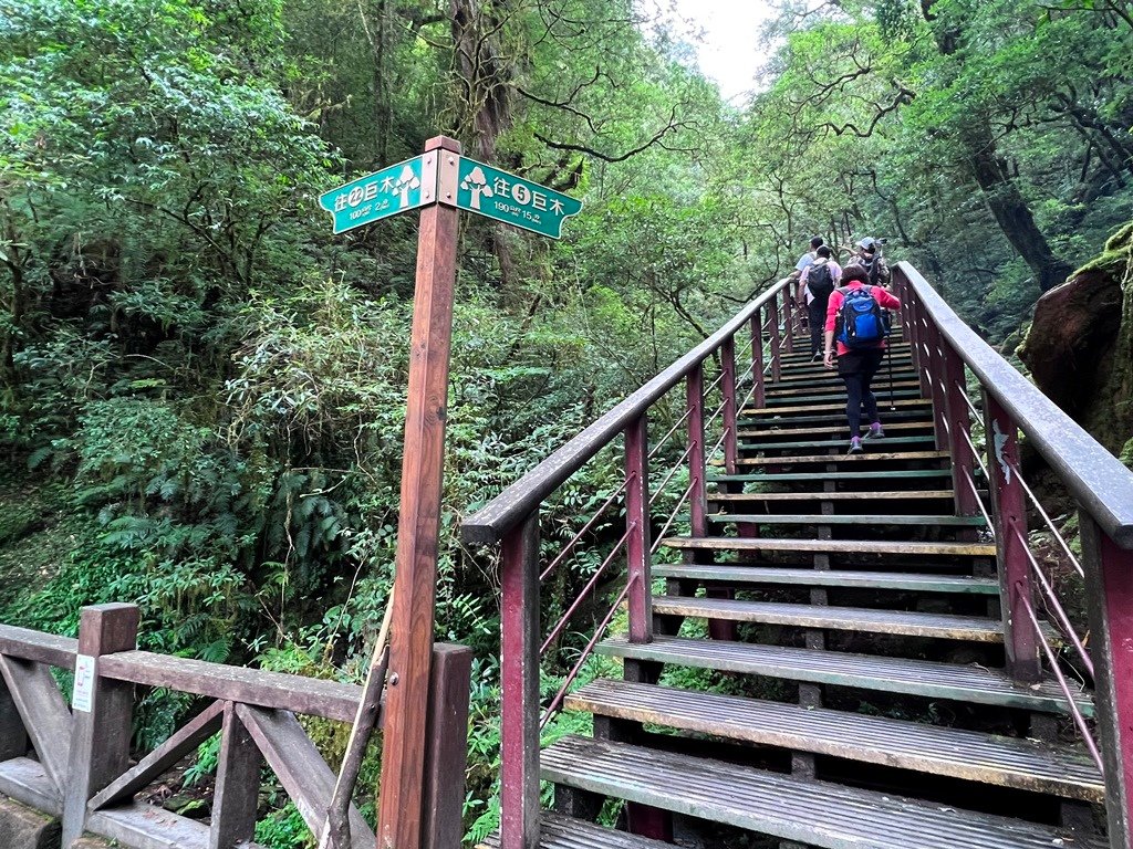 拉拉山國家森林遊樂區