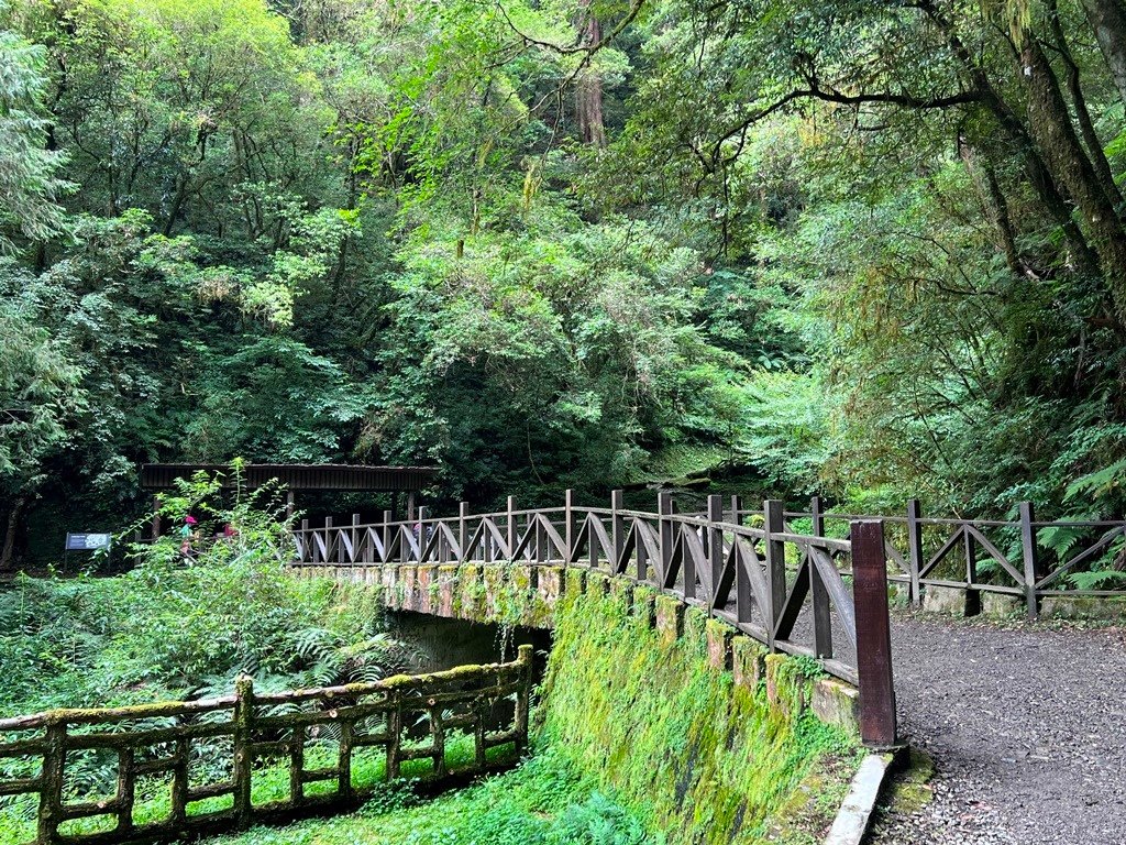 拉拉山國家森林遊樂區