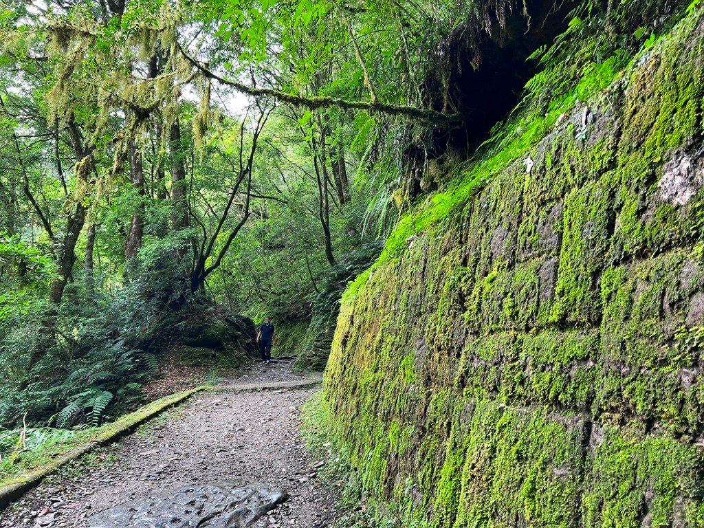 拉拉山國家森林遊樂區