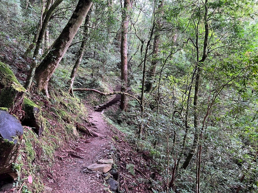 拉拉山國家森林遊樂區