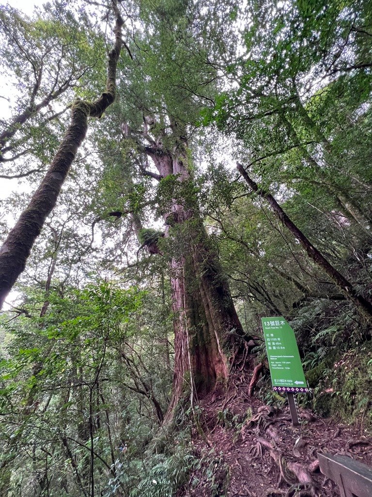 拉拉山國家森林遊樂區