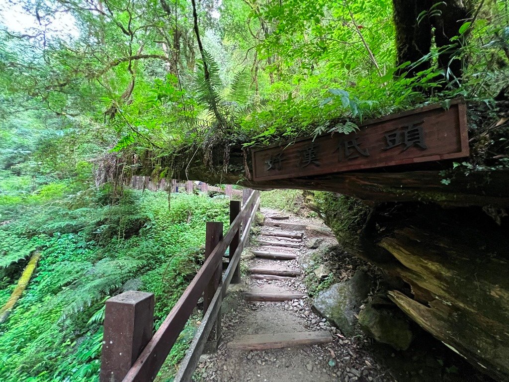 拉拉山國家森林遊樂區