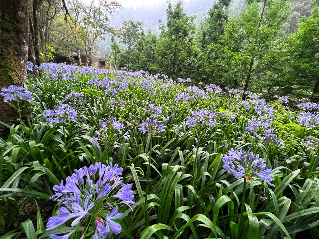 石井磯步道