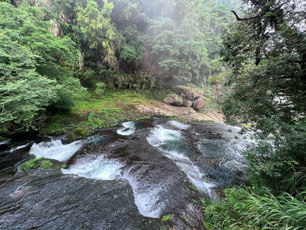 青龍蕨類步道