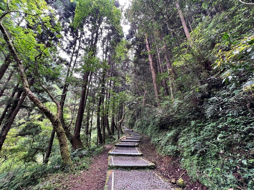 燕庵步道