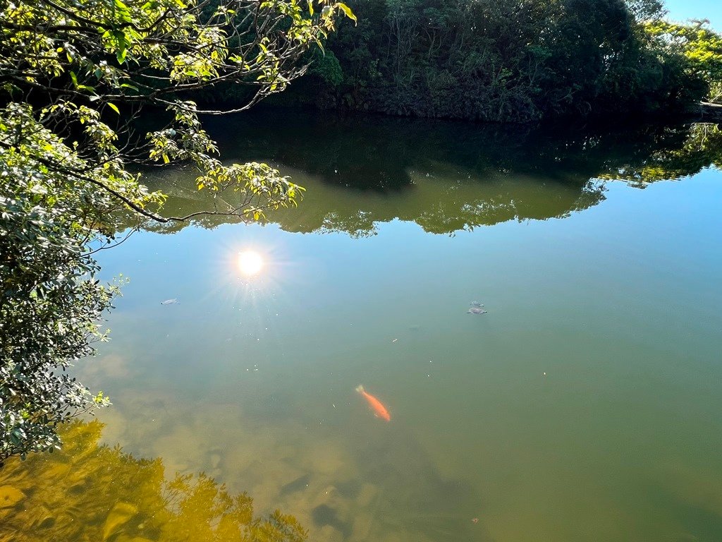 情人湖公園