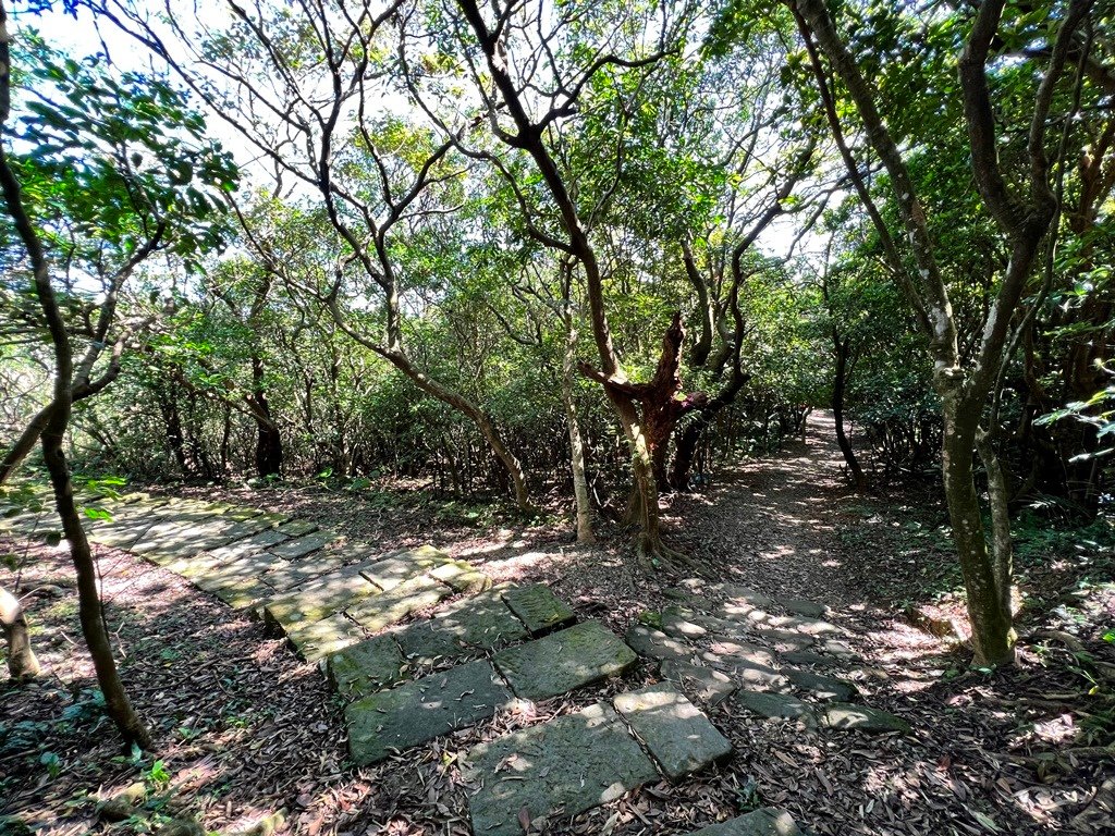 情人湖公園