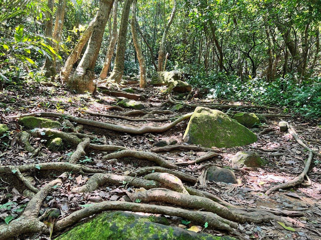 海興步道