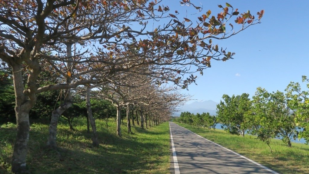 臺東森林公園