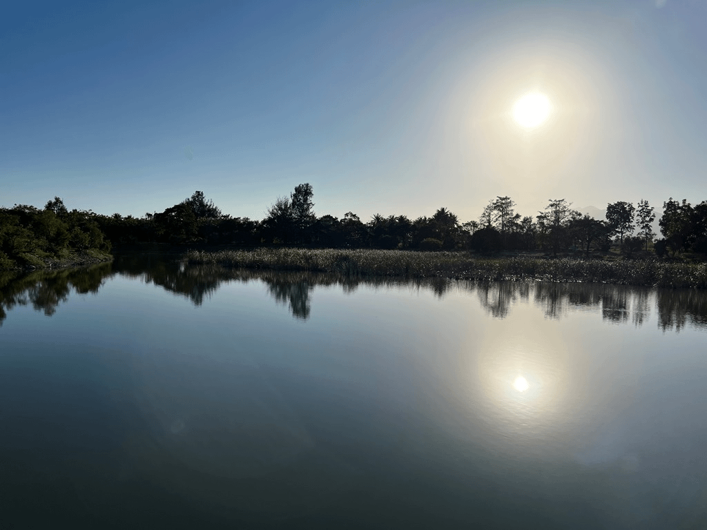 臺東森林公園