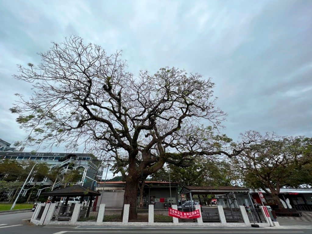 龍田村