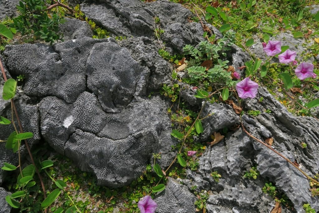 雙獅岩