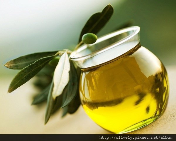 olive-oil-hair-treatment