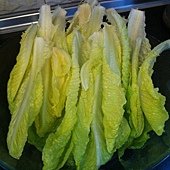 照片 1318