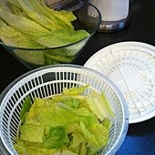 照片 1319