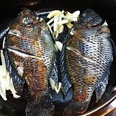 IMG_5578