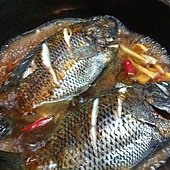 IMG_5582