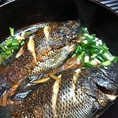 IMG_5585