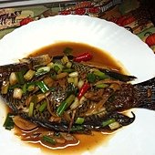 IMG_5588