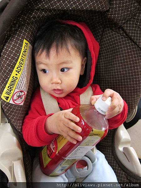 IMG_1258.JPG