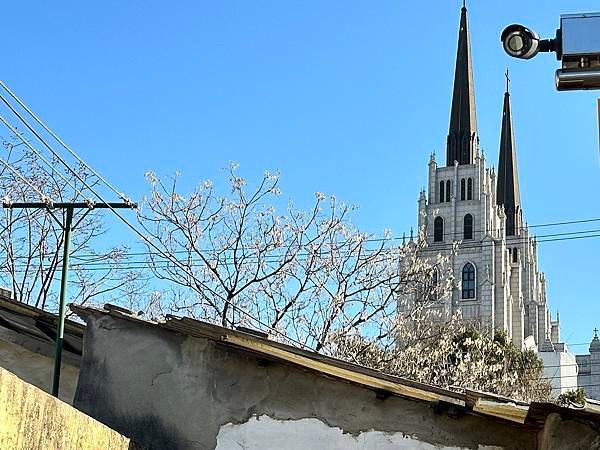 2024韓國釜山過新年-大邱一日遊青蘿丘古蹟群/歐式建築大丘