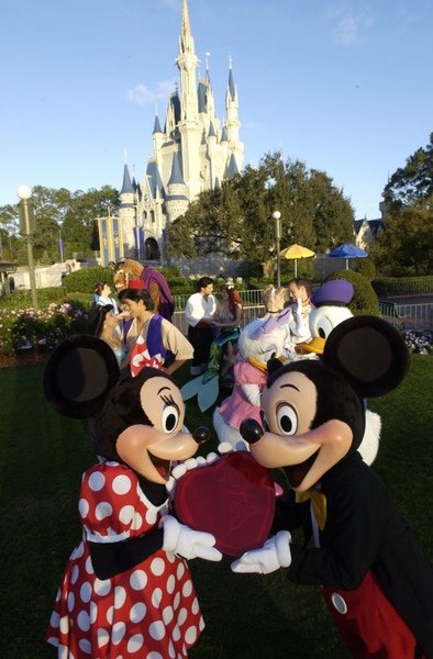 couples-in-love-at-disney-world-760376.jpg