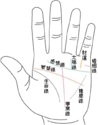 從智慧線看出你的個性