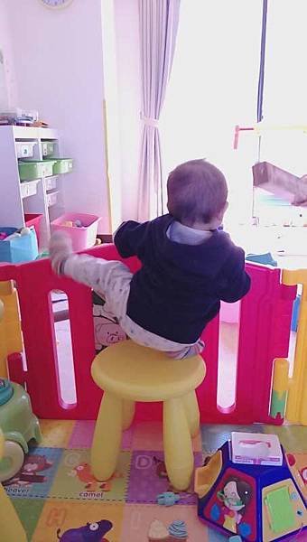 IMAG0979-800.jpg