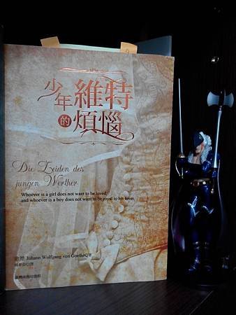 IMG_20141007_200022