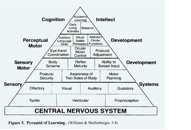 CNS