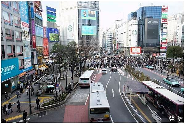 東京︱Day6皇居、明治神宮、竹下通、渉谷、東京鐵塔
