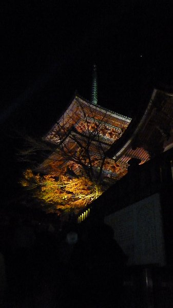 P1010640.JPG