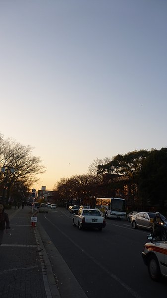 P1010605.JPG