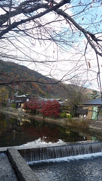 P1010535.JPG