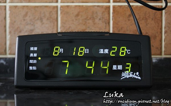 食27