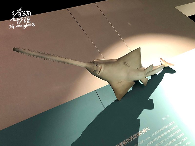 NankeMuseum37.jpg