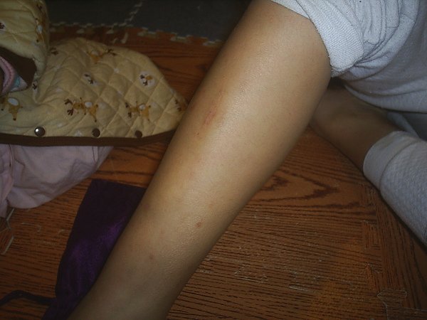 PIC_0010.JPG