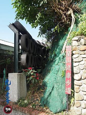 P1140598.JPG