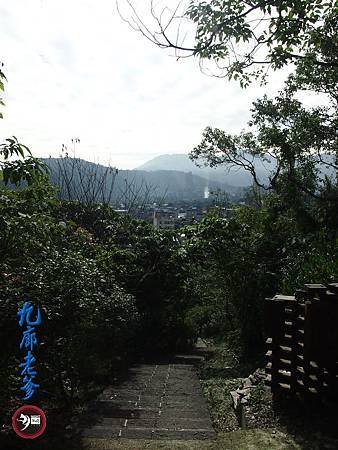 P1140602.JPG