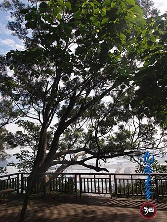 P1140612.JPG