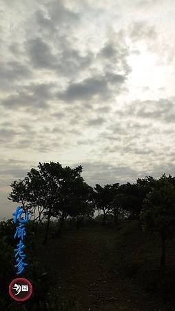 P4020427.JPG