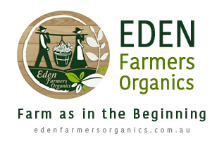 logo-slogan.png