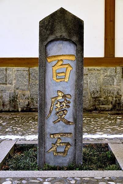DSC_0900.JPG